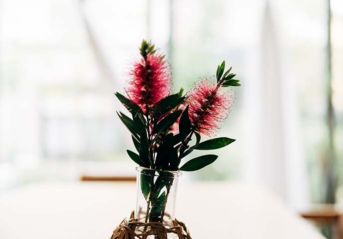 イメージ|ロングターム・ケアの場で死に至る高齢者の「実践知」を科学的に証明する