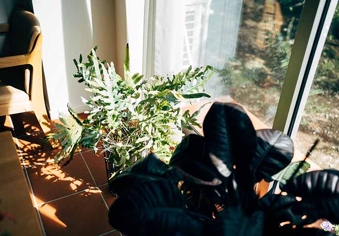 ナイチンゲール思想から学ぶケアの本質